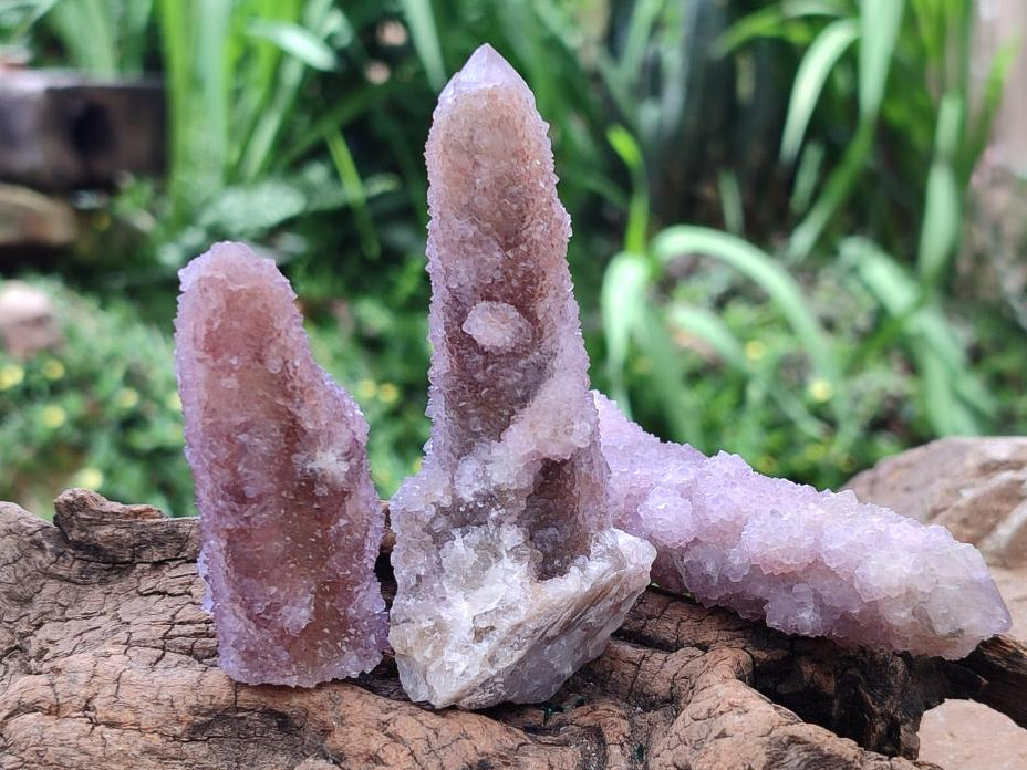 Natural Amethyst and Ametrine Spirit Clusters x 12 From Boekenhouthoek, South Africa
