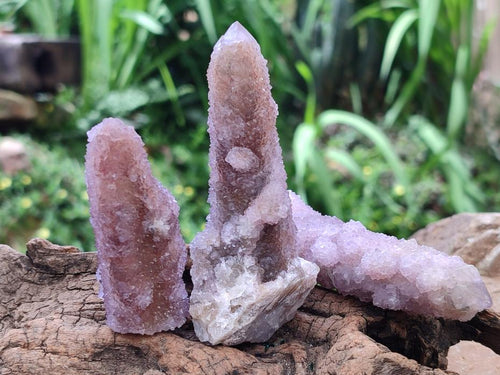 Natural Amethyst and Ametrine Spirit Clusters x 12 From Boekenhouthoek, South Africa - Toprock Gemstones and Minerals 