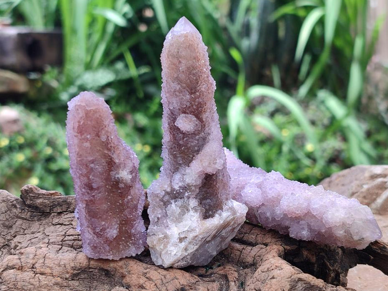 Natural Amethyst and Ametrine Spirit Clusters x 12 From Boekenhouthoek, South Africa - Toprock Gemstones and Minerals 