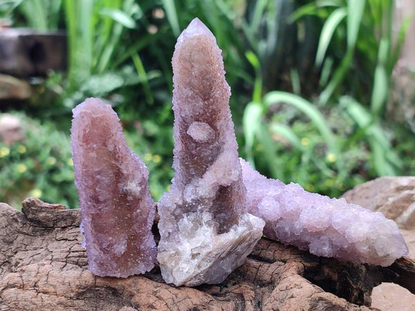 Natural Amethyst and Ametrine Spirit Clusters x 12 From Boekenhouthoek, South Africa