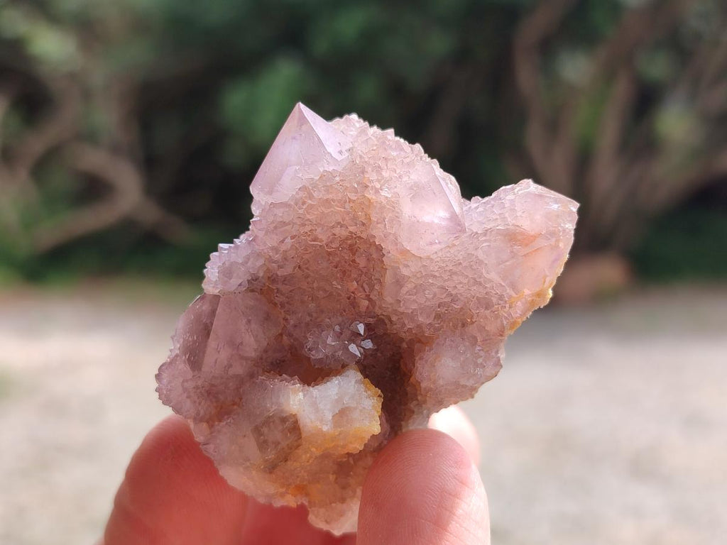 Natural Amethyst and Ametrine Spirit Clusters x 12 From Boekenhouthoek, South Africa