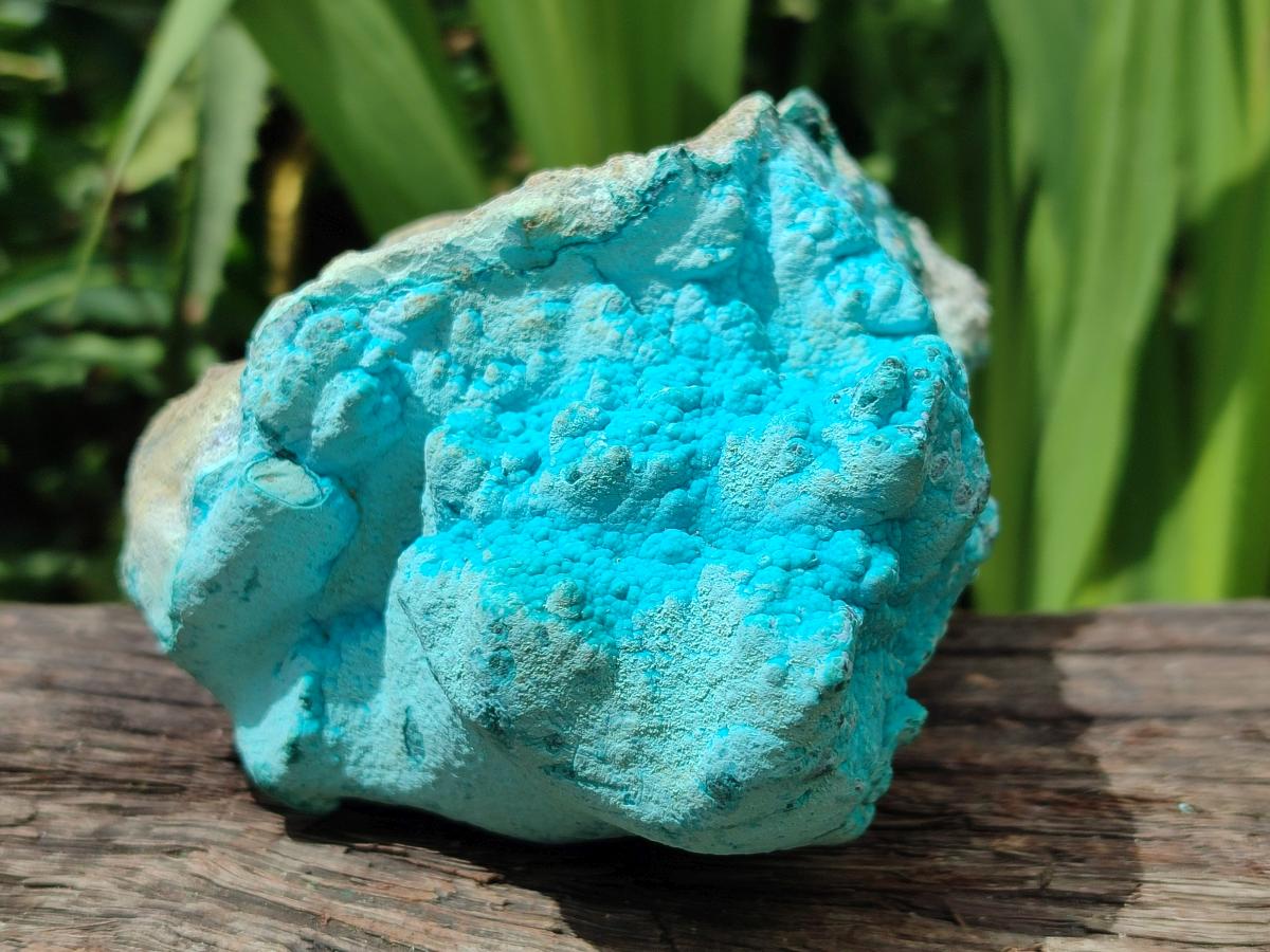 Natural Botryoidal Chrysocolla With Malachite Specimens x 2 From Kolwezi, Congo