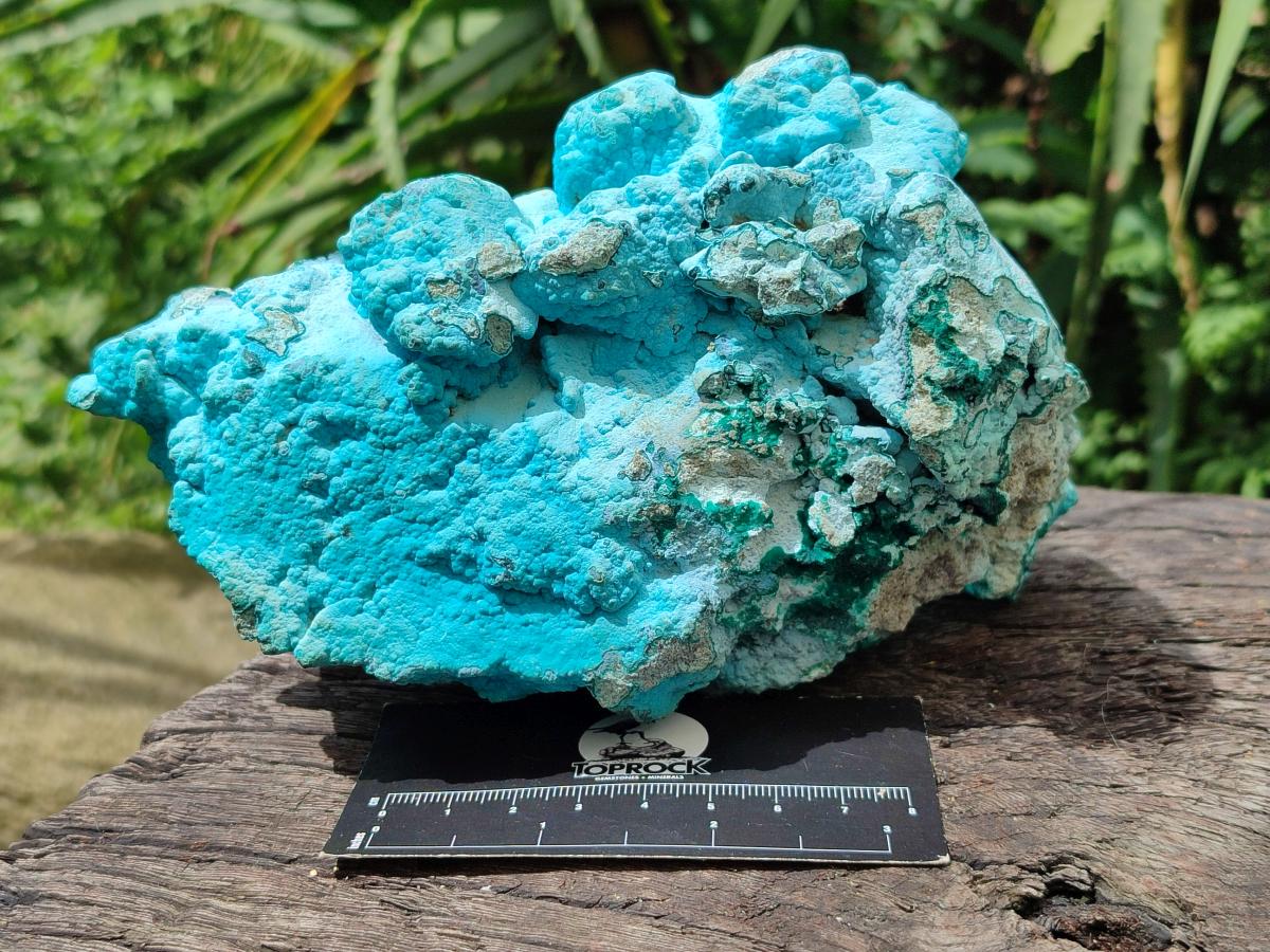 Natural Botryoidal Chrysocolla With Malachite Specimens x 2 From Kolwezi, Congo