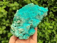 Natural Botryoidal Chrysocolla With Malachite Specimens x 2 From Kolwezi, Congo