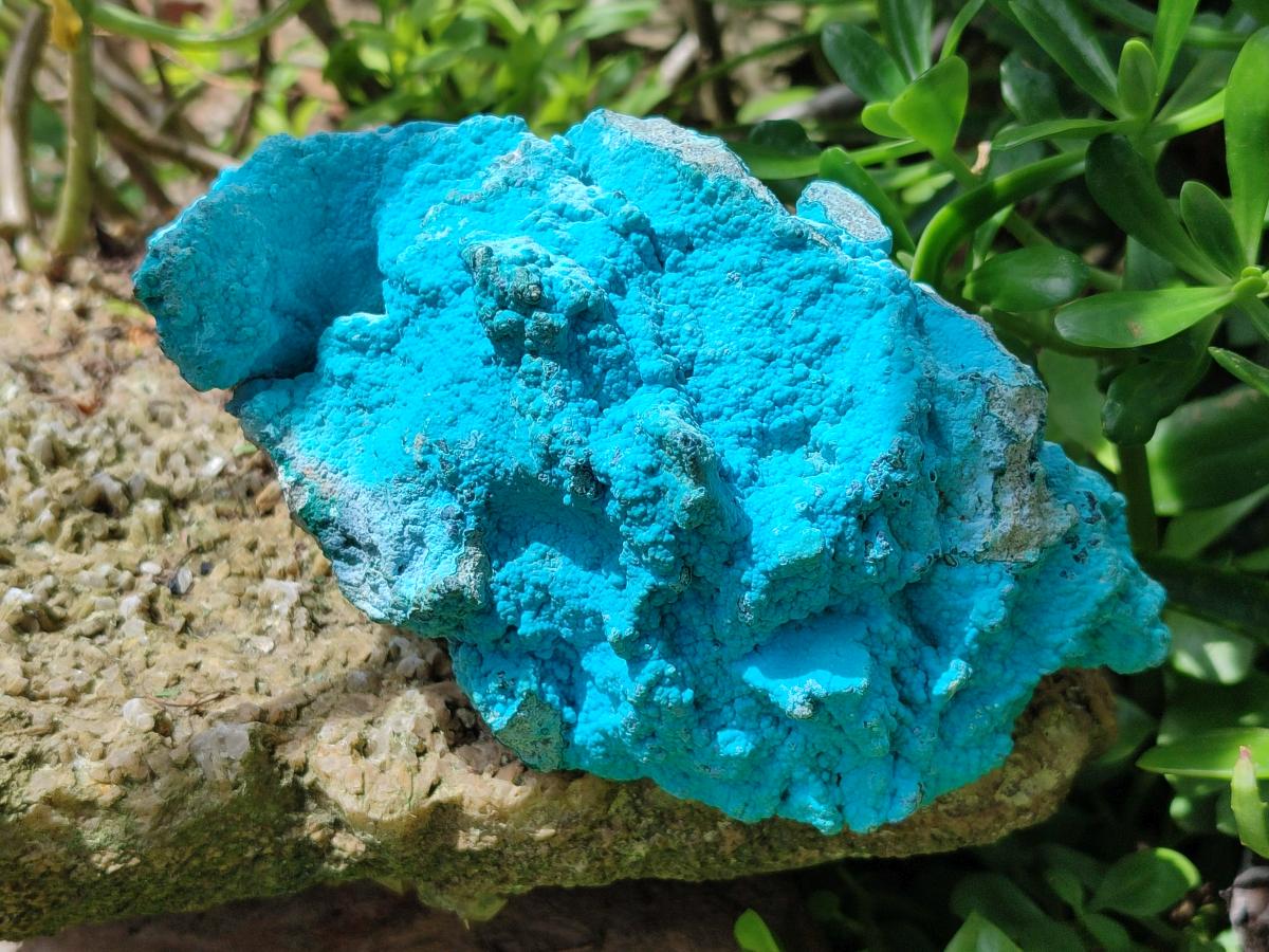 Natural Botryoidal Chrysocolla With Malachite Specimens x 2 From Kolwezi, Congo