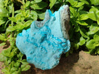 Natural Botryoidal Chrysocolla With Malachite Specimens x 2 From Kolwezi, Congo