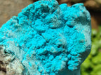 Natural Botryoidal Chrysocolla With Malachite Specimens x 2 From Kolwezi, Congo
