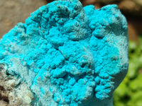 Natural Botryoidal Chrysocolla With Malachite Specimens x 2 From Kolwezi, Congo