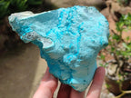 Natural Botryoidal Chrysocolla With Malachite Specimens x 2 From Kolwezi, Congo