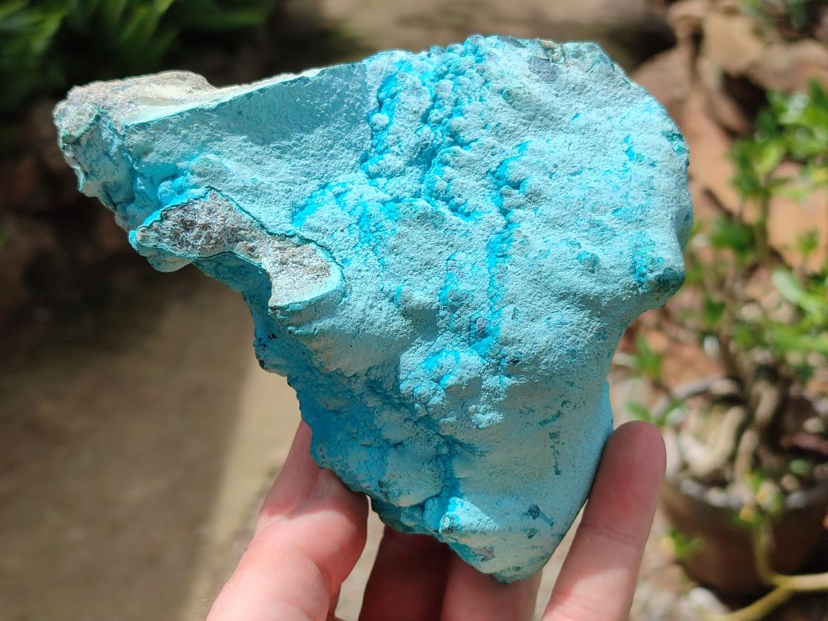 Natural Botryoidal Chrysocolla With Malachite Specimens x 2 From Kolwezi, Congo