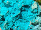 Natural Botryoidal Chrysocolla With Malachite Specimens x 2 From Kolwezi, Congo