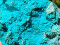 Natural Botryoidal Chrysocolla With Malachite Specimens x 2 From Kolwezi, Congo