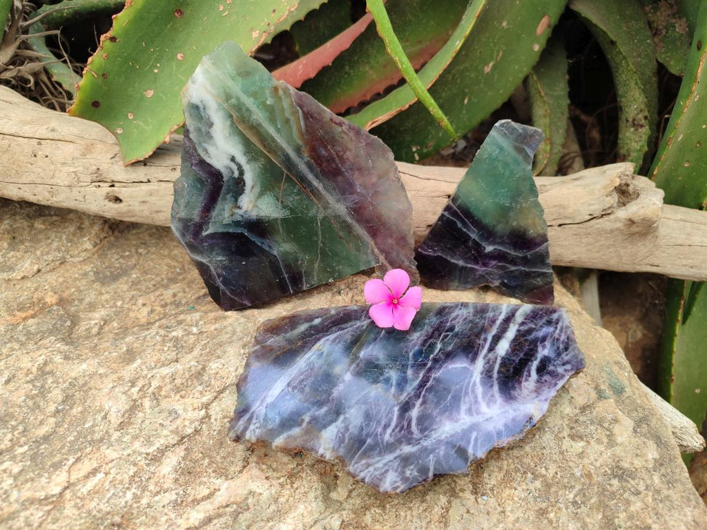Polished On One Side Watermelon Fluorite Specimens x 3 From Uis, Namibia