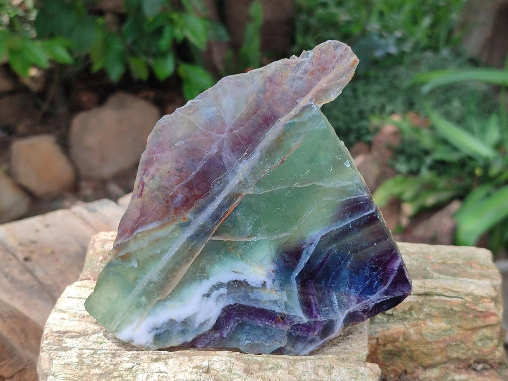 Polished On One Side Watermelon Fluorite Specimens x 3 From Uis, Namibia