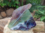 Polished On One Side Watermelon Fluorite Specimens x 3 From Uis, Namibia