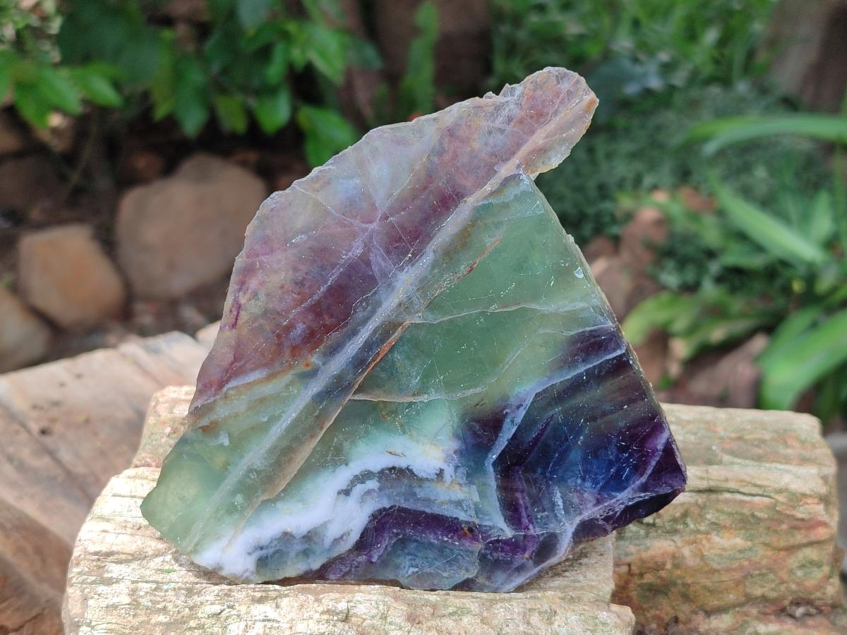 Polished On One Side Watermelon Fluorite Specimens x 3 From Uis, Namibia