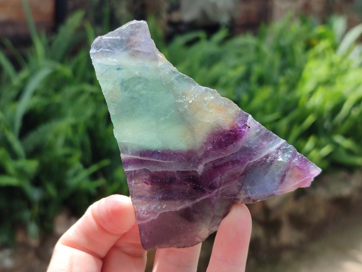 Polished On One Side Watermelon Fluorite Specimens x 3 From Uis, Namibia