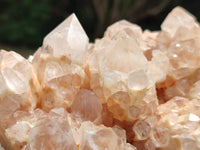 Natural Candle Quartz Clusters x 2 From Antsirabe, Madagascar