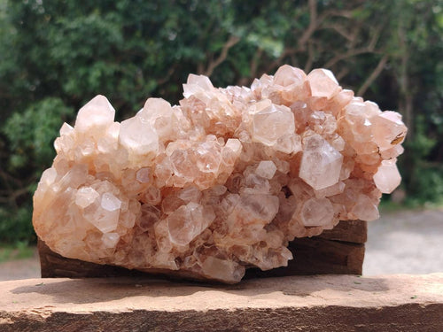 Natural Candle Quartz Clusters x 2 From Antsirabe, Madagascar - Toprock Gemstones and Minerals 
