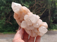 Natural Candle Quartz Clusters x 2 From Antsirabe, Madagascar