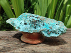 Natural Drusy Coated Chrysocolla With Malachite Crystals On Dolomite Specimens x 4 From Lupoto Mine, Congo