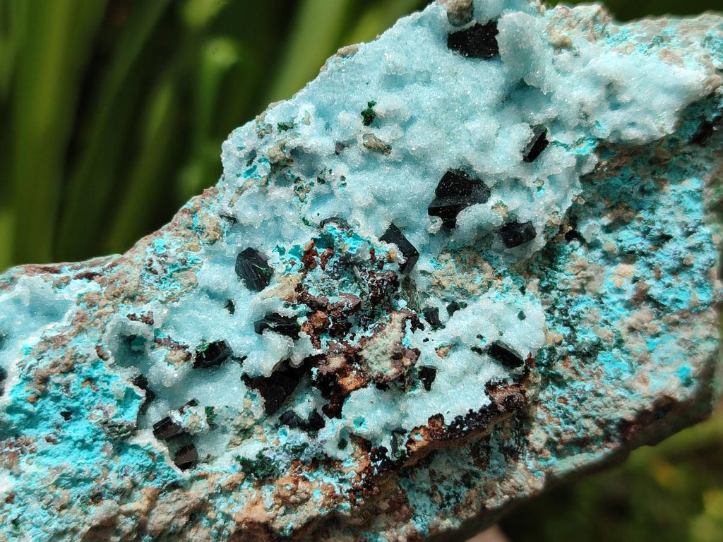 Natural Drusy Coated Chrysocolla With Malachite Crystals On Dolomite Specimens x 4 From Lupoto Mine, Congo