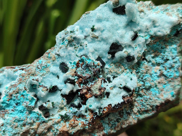 Natural Drusy Coated Chrysocolla With Malachite Crystals On Dolomite Specimens x 4 From Lupoto Mine, Congo