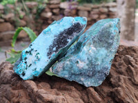 Natural Drusy Coated Chrysocolla With Malachite Crystals On Dolomite Specimens x 4 From Lupoto Mine, Congo