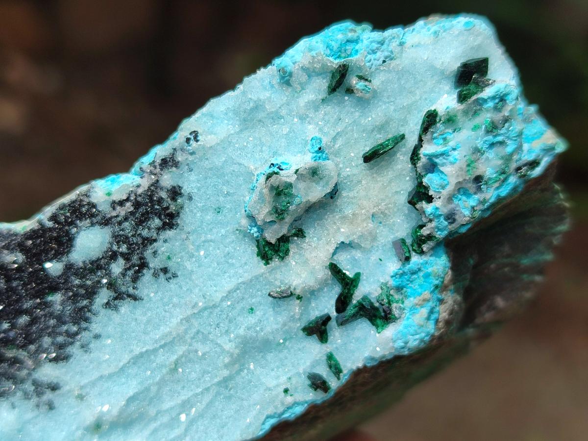 Natural Drusy Coated Chrysocolla With Malachite Crystals On Dolomite Specimens x 4 From Lupoto Mine, Congo