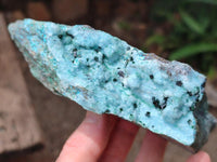 Natural Drusy Coated Chrysocolla With Malachite Crystals On Dolomite Specimens x 4 From Lupoto Mine, Congo