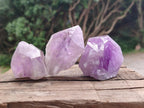Natural Jacaranda Amethyst Single Crystals x 12 From Mumbwa, Zambia