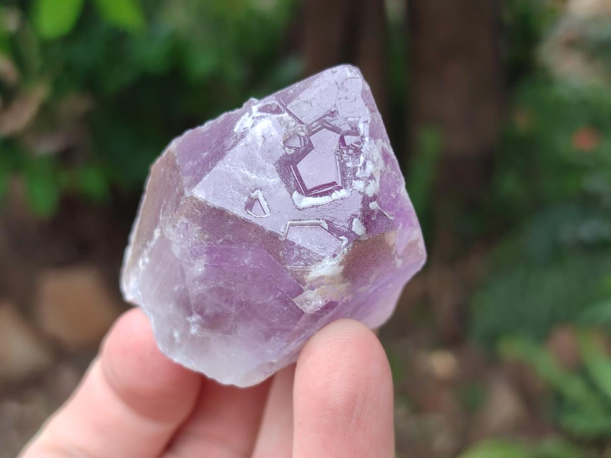 Natural Jacaranda Amethyst Single Crystals x 12 From Mumbwa, Zambia