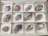 Natural Jacaranda Amethyst Single Crystals x 12 From Mumbwa, Zambia