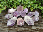 Natural Jacaranda Amethyst Single Crystals x 12 From Mumbwa, Zambia