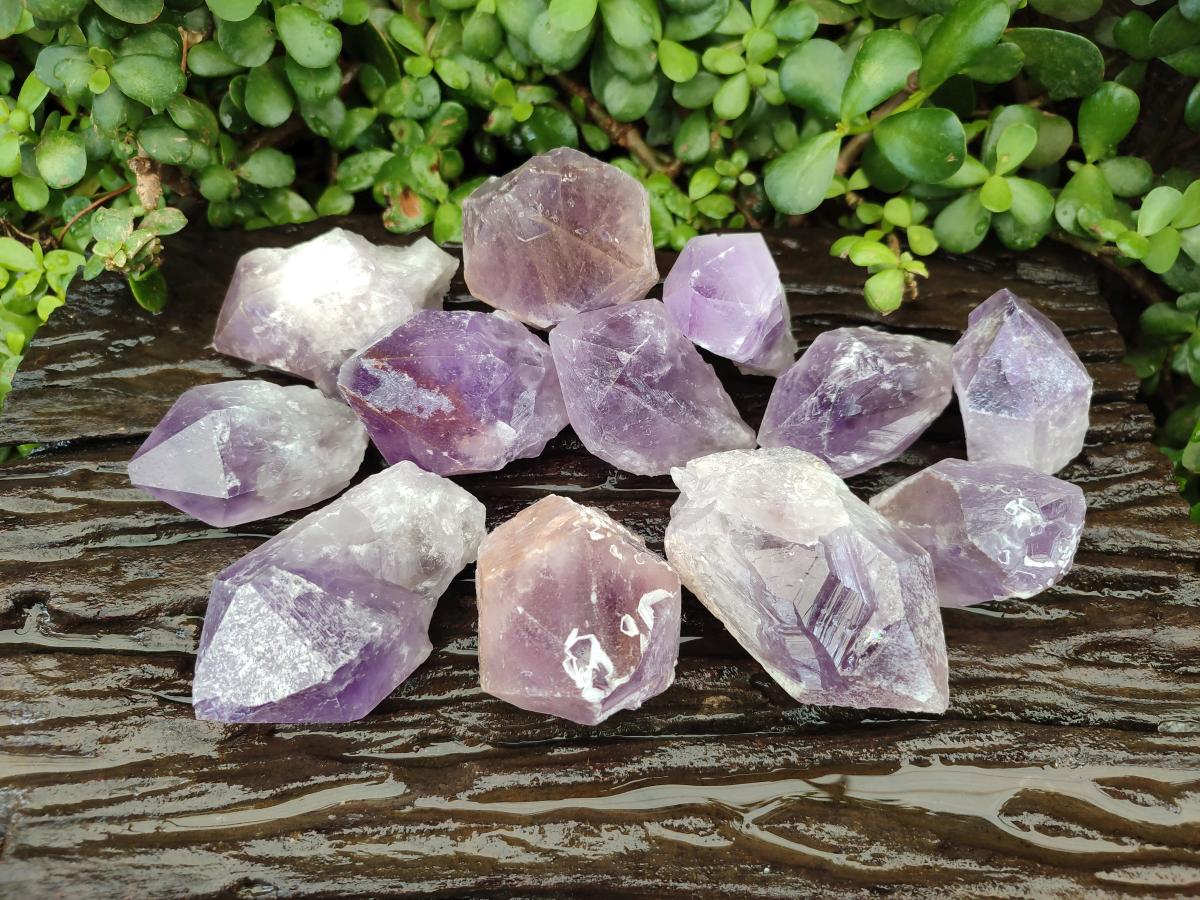 Natural Jacaranda Amethyst Single Crystals x 12 From Mumbwa, Zambia