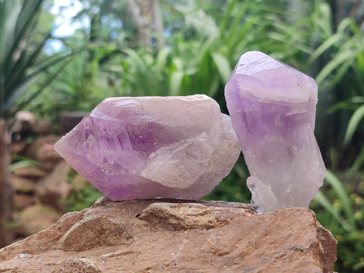 Natural Jacaranda Amethyst Single Crystals x 12 From Mumbwa, Zambia