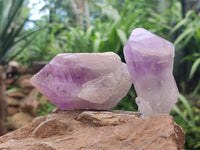 Natural Jacaranda Amethyst Single Crystals x 12 From Mumbwa, Zambia