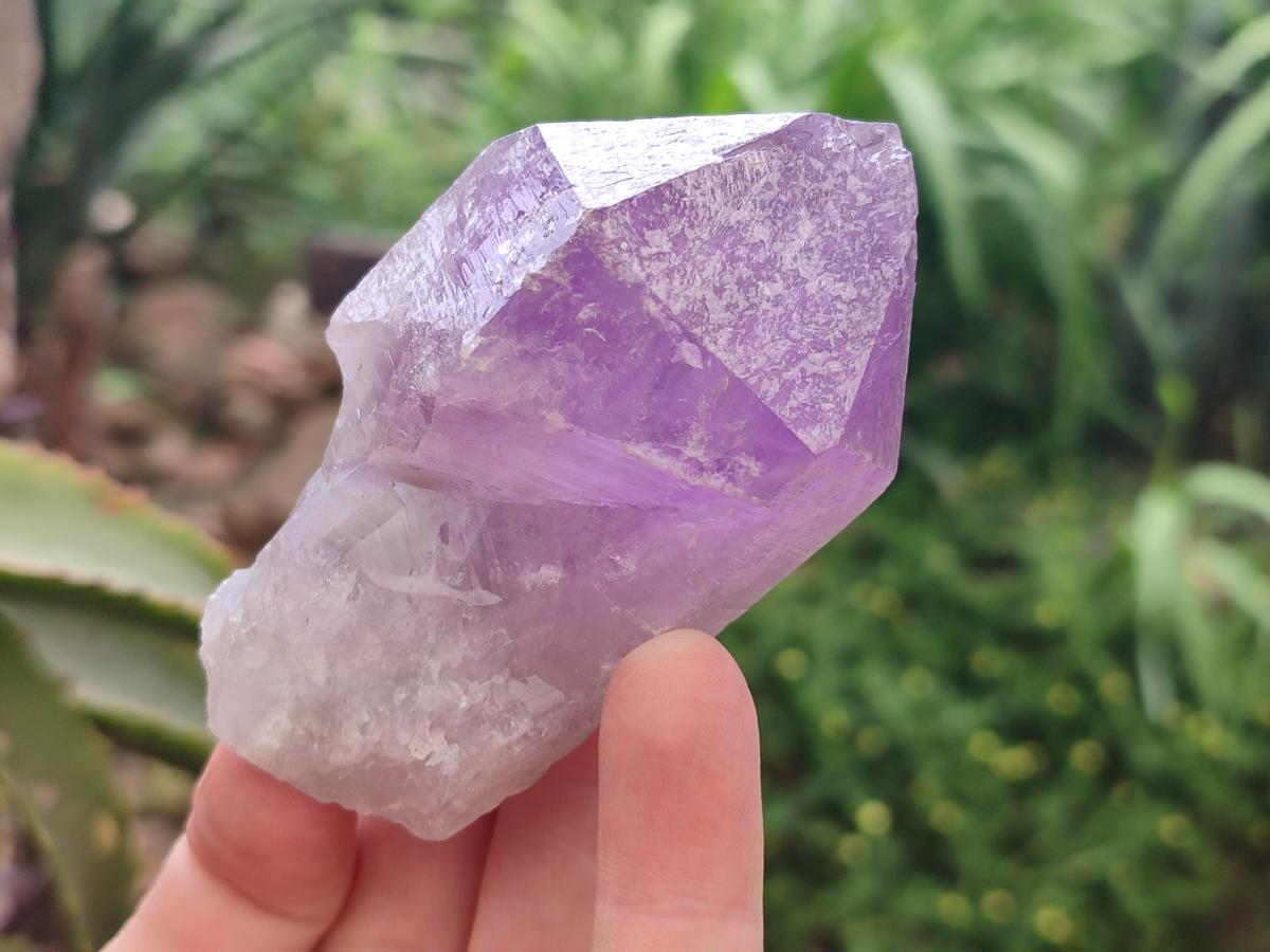 Natural Jacaranda Amethyst Single Crystals x 12 From Mumbwa, Zambia