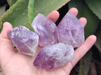 Natural Jacaranda Amethyst Single Crystals x 12 From Mumbwa, Zambia