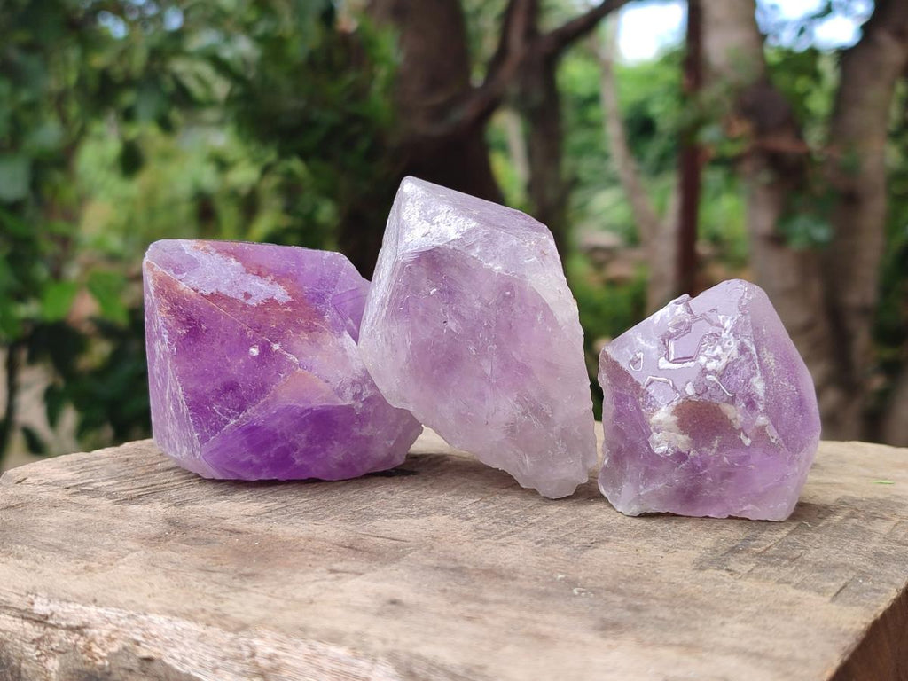 Natural Jacaranda Amethyst Single Crystals x 12 From Mumbwa, Zambia