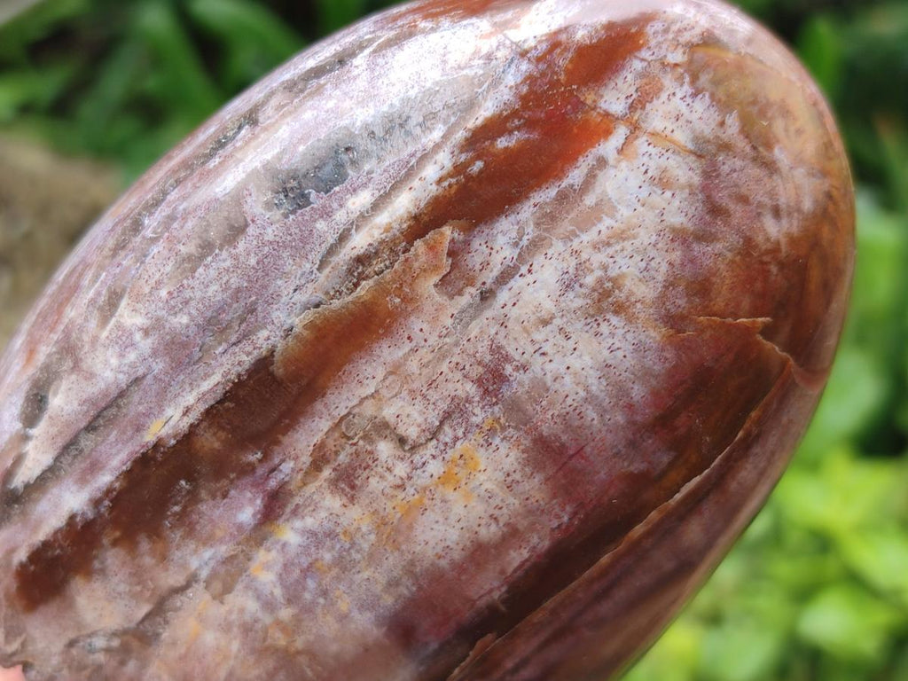 Polished Red Podocarpus Petrified Wood Standing Free Forms x 6 From Mahajanga, Madagascar