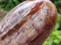 Polished Red Podocarpus Petrified Wood Standing Free Forms x 6 From Mahajanga, Madagascar