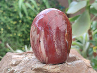 Polished Red Podocarpus Petrified Wood Standing Free Forms x 6 From Mahajanga, Madagascar