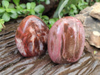 Polished Red Podocarpus Petrified Wood Standing Free Forms x 6 From Mahajanga, Madagascar