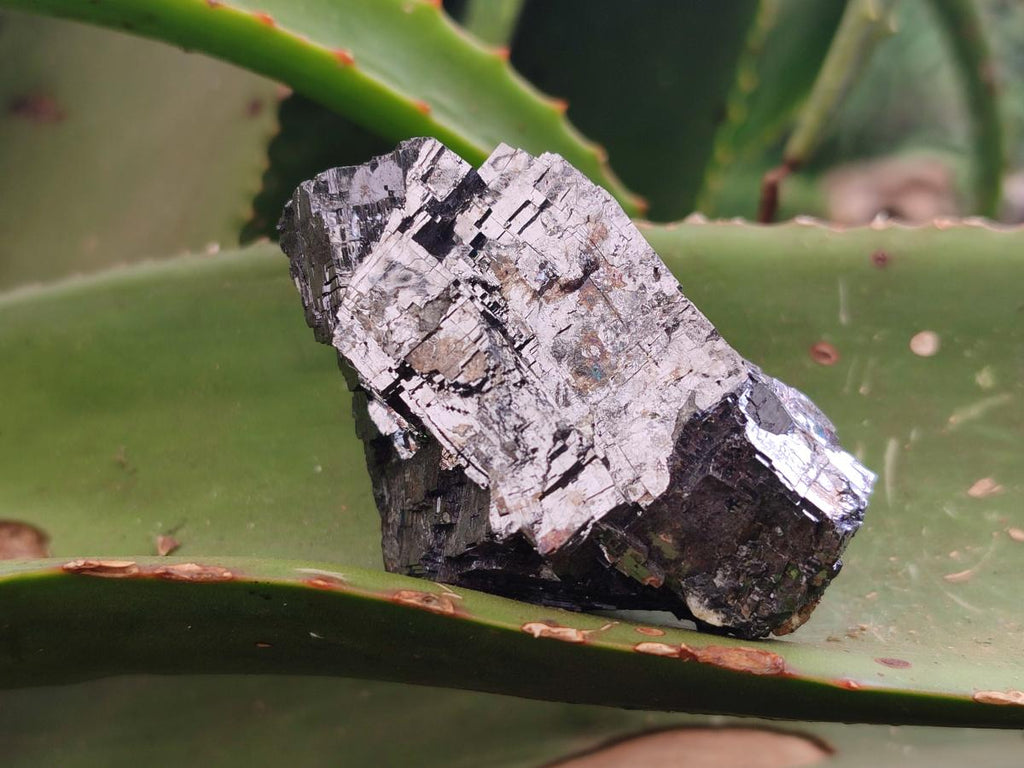 Natural Bright Silver Lead Galena Cobbed Specimens x 6 From Kaokoveld, Namibia