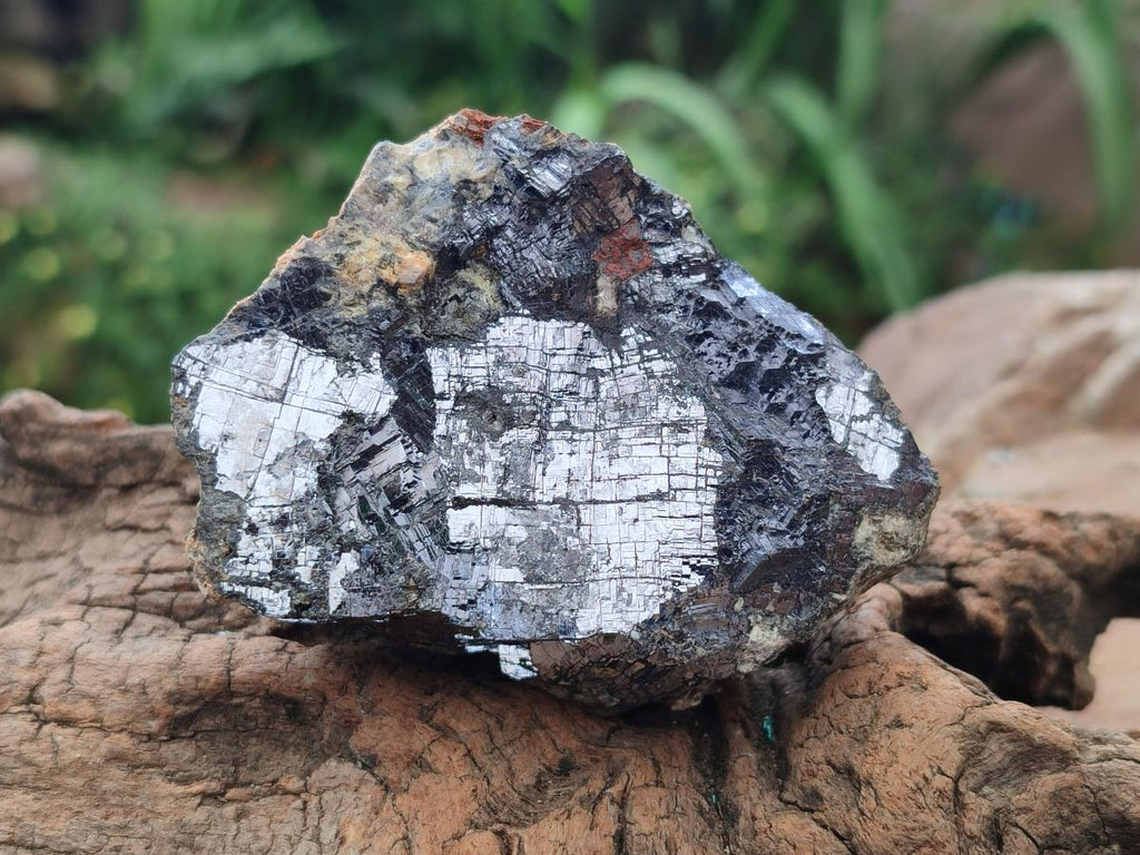 Natural Bright Silver Lead Galena Cobbed Specimens x 6 From Kaokoveld, Namibia