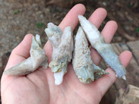 Natural Drusy Quartz Coated Spearhead Calcite Specimens x 35 From Albert's Mountain, Lesotho