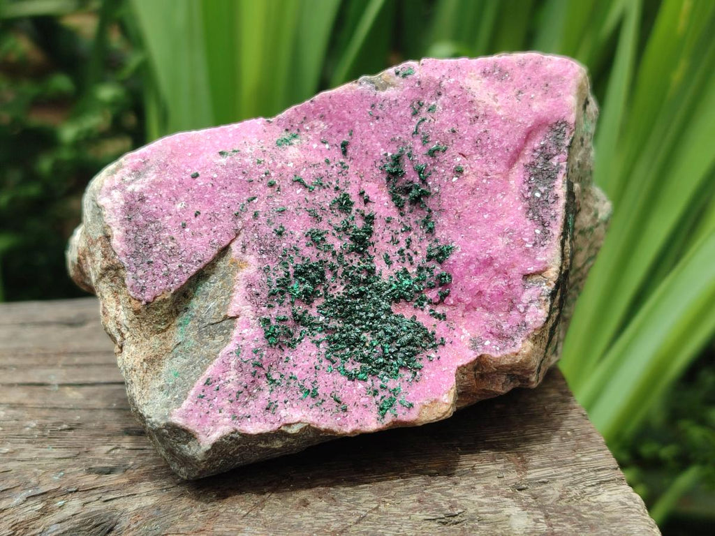 Natural Salrose Cobaltion Dolomite Specimens with Malachite x 3 From Kakanda, Congo