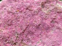 Natural Salrose Cobaltion Dolomite Specimens with Malachite x 3 From Kakanda, Congo