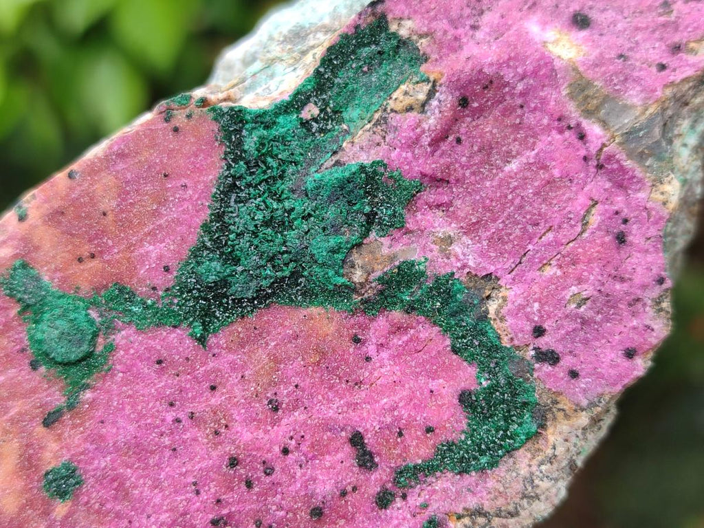 Natural Salrose Cobaltion Dolomite Specimens with Malachite x 3 From Kakanda, Congo